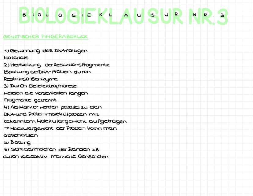 BIOCHEMISCHE EVOLUTIONSBELEGE
BIOLOGIEKLAUBUR NR.3
EVOLUTIONS FAKTOREN
a) Variation und Rekombination
Variation : Phäno-und genotypische
ver