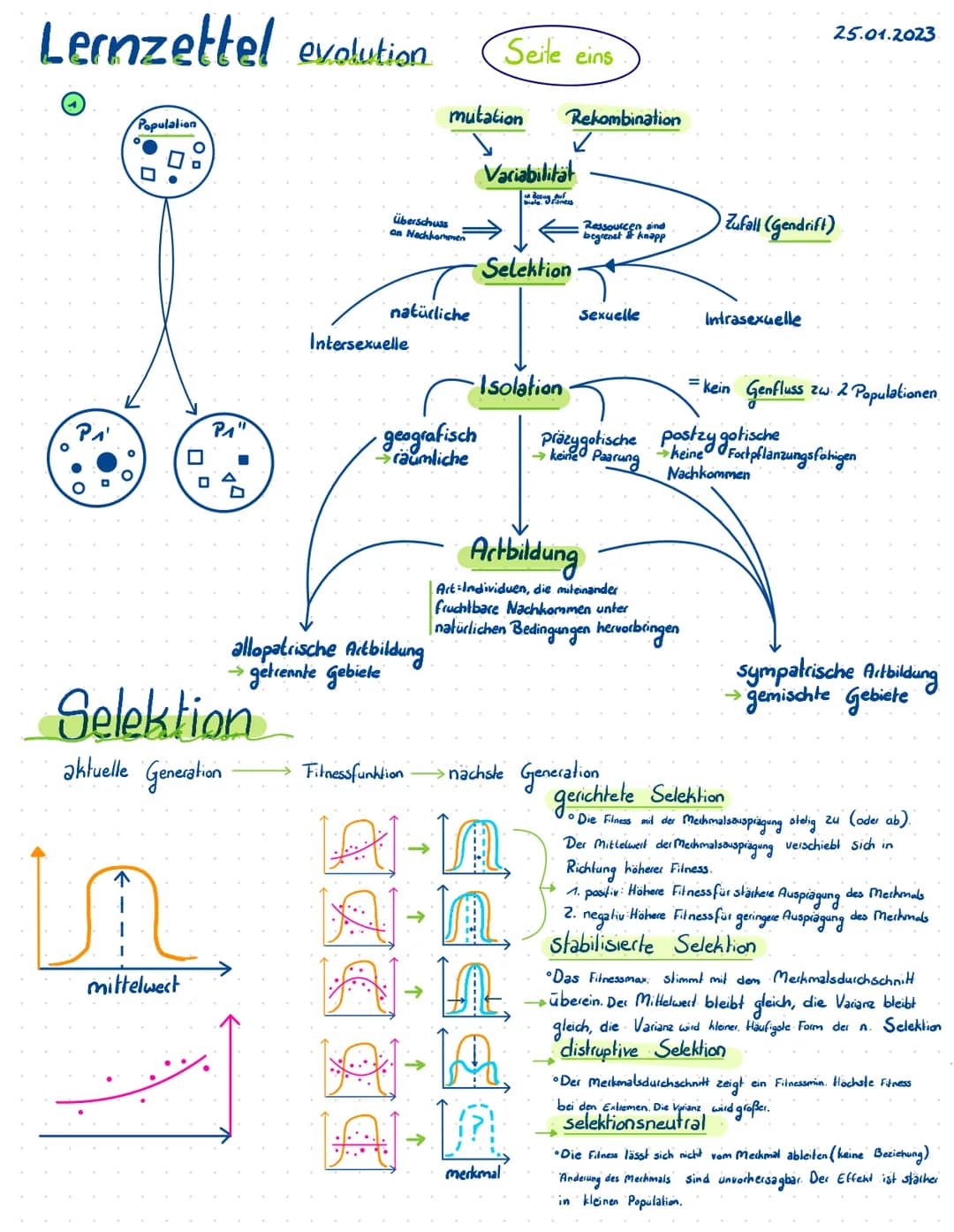 Evolution
und Zukunfsfragen
Biologie Lernzettel evolution
P₁'
O.
° O
Population
↑
0
0
mittelwert
0
P₁
Selektion
aktuelle Generation
überschu
