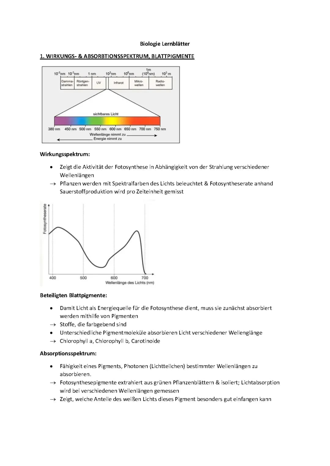 Biologie Lernblätter Q3: Fotosynthese & Zellatmung