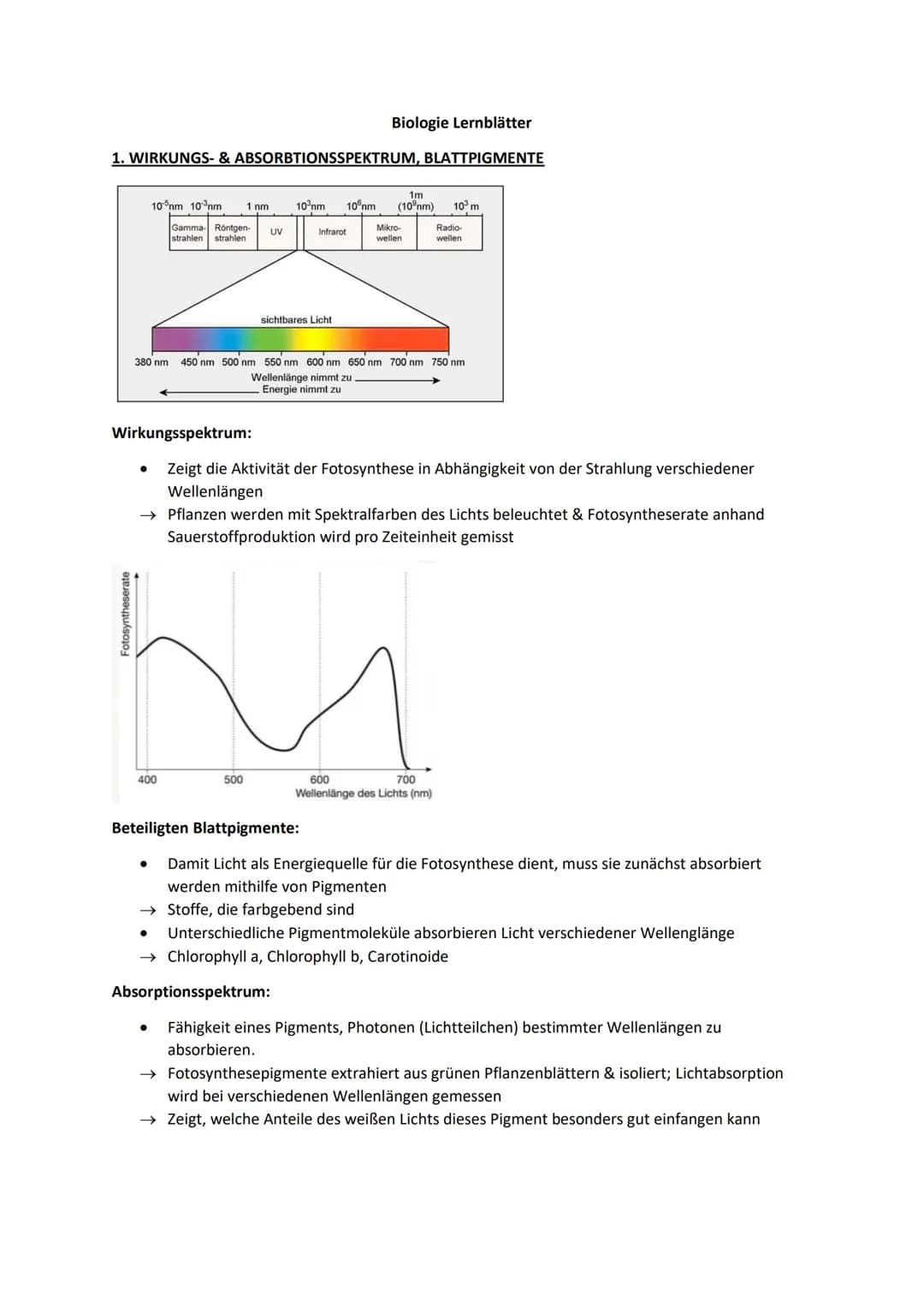 Biologie Lernblätter
1. WIRKUNGS- & ABSORBTIONSSPEKTRUM, BLATTPIGMENTE
Fotosyntheserate
●
105nm 10³nm 1 nm
H
Gamma- Röntgen-
strahlen strahl