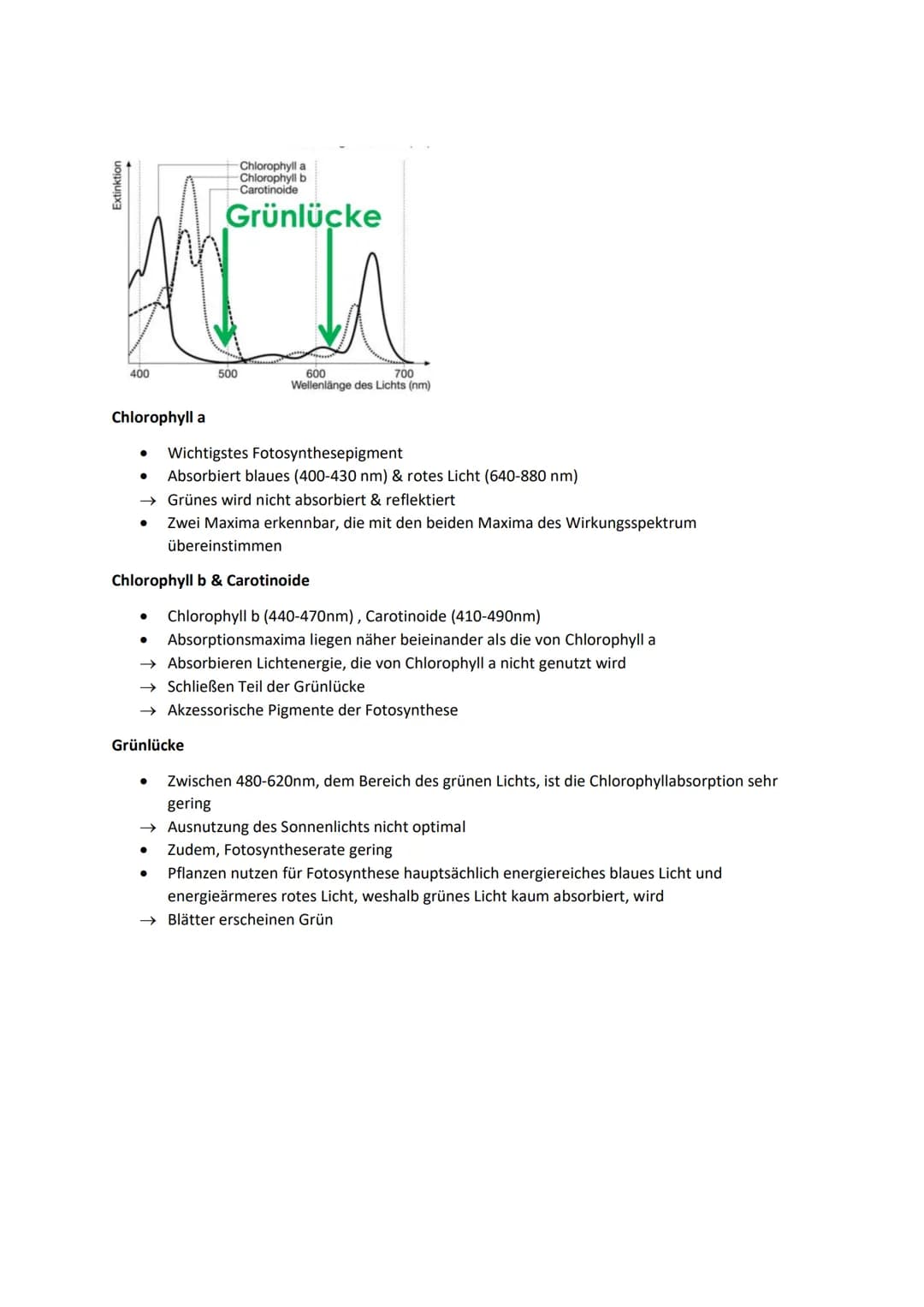 Biologie Lernblätter
1. WIRKUNGS- & ABSORBTIONSSPEKTRUM, BLATTPIGMENTE
Fotosyntheserate
●
105nm 10³nm 1 nm
H
Gamma- Röntgen-
strahlen strahl