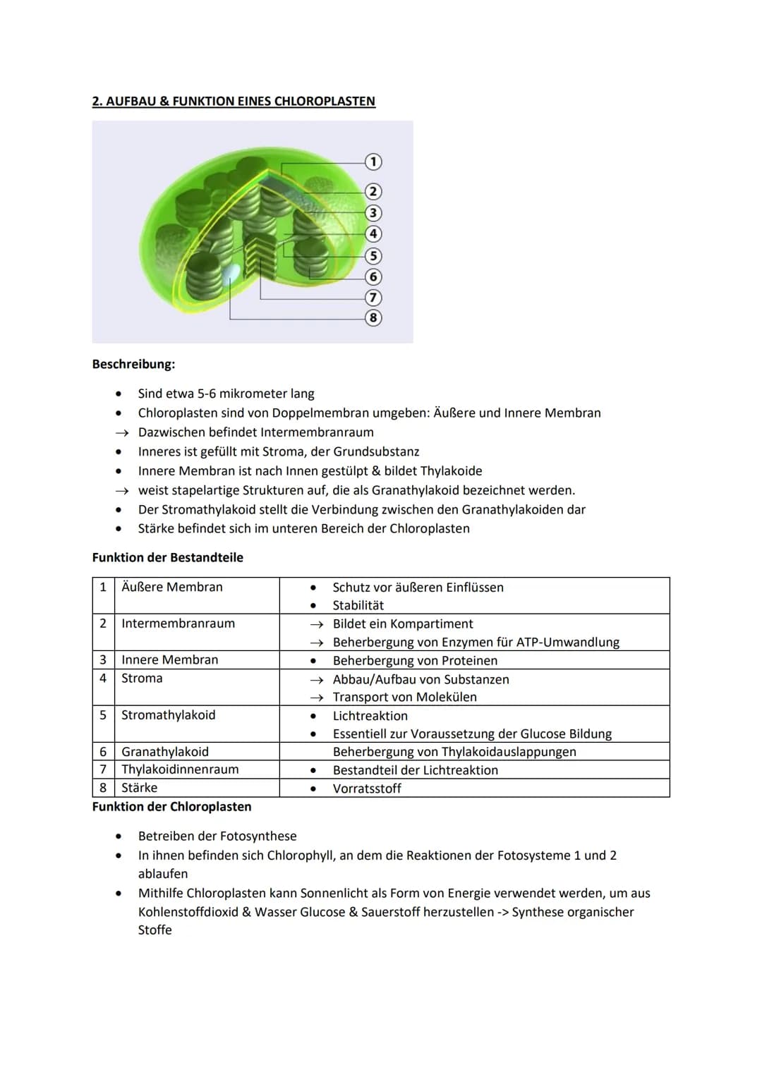 Biologie Lernblätter
1. WIRKUNGS- & ABSORBTIONSSPEKTRUM, BLATTPIGMENTE
Fotosyntheserate
●
105nm 10³nm 1 nm
H
Gamma- Röntgen-
strahlen strahl