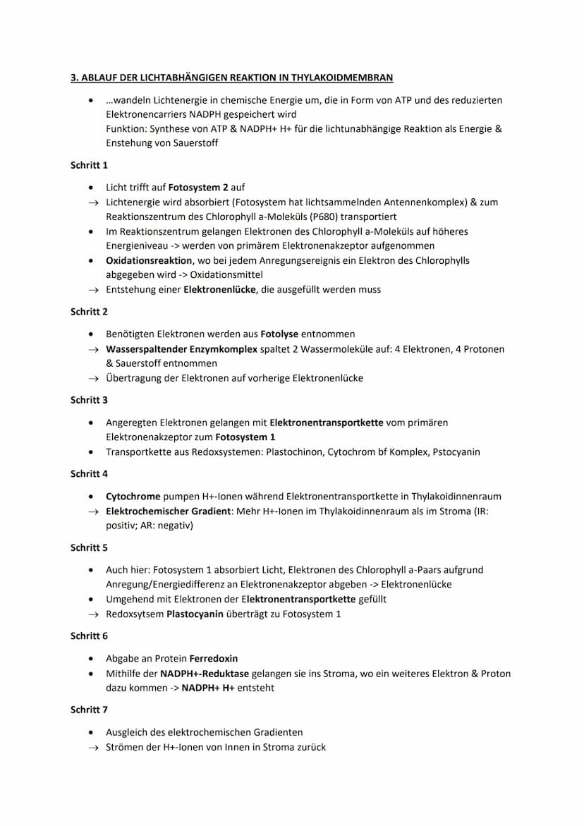 Biologie Lernblätter
1. WIRKUNGS- & ABSORBTIONSSPEKTRUM, BLATTPIGMENTE
Fotosyntheserate
●
105nm 10³nm 1 nm
H
Gamma- Röntgen-
strahlen strahl