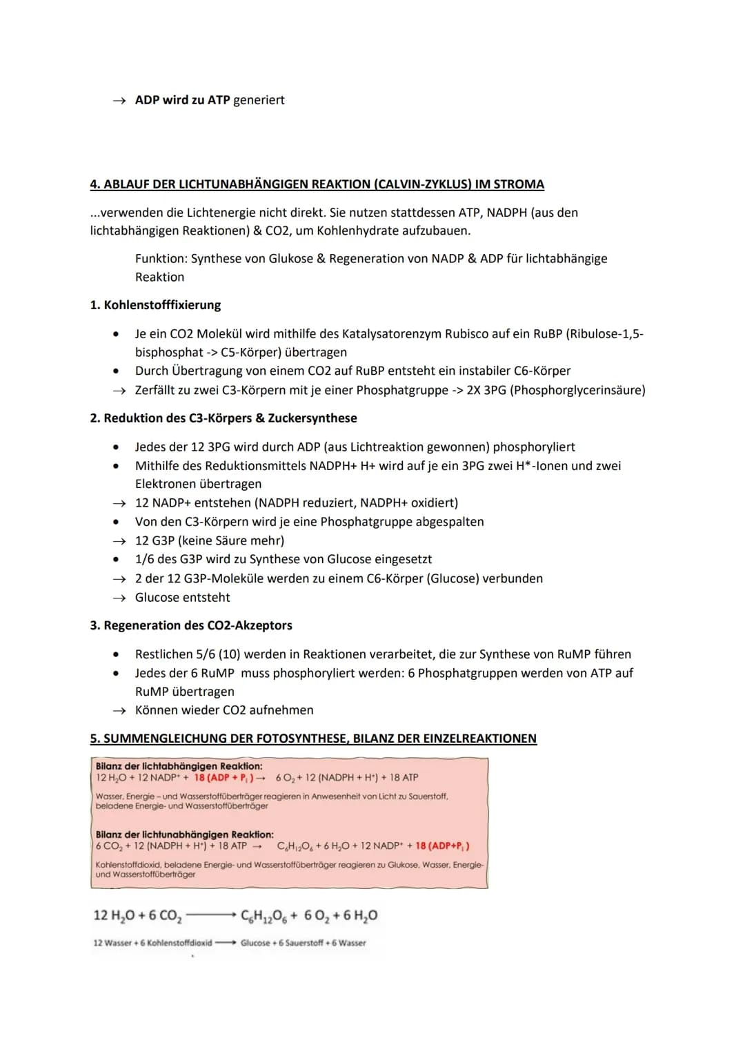 Biologie Lernblätter
1. WIRKUNGS- & ABSORBTIONSSPEKTRUM, BLATTPIGMENTE
Fotosyntheserate
●
105nm 10³nm 1 nm
H
Gamma- Röntgen-
strahlen strahl