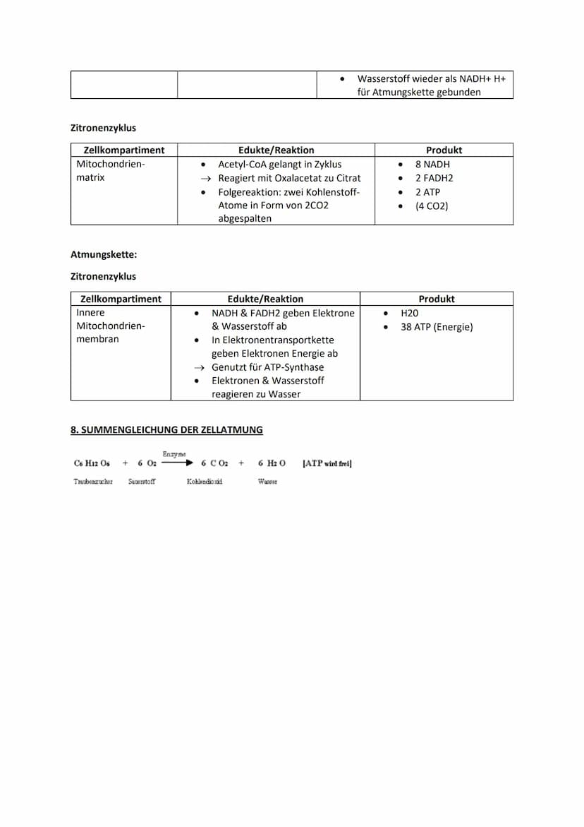 Biologie Lernblätter
1. WIRKUNGS- & ABSORBTIONSSPEKTRUM, BLATTPIGMENTE
Fotosyntheserate
●
105nm 10³nm 1 nm
H
Gamma- Röntgen-
strahlen strahl