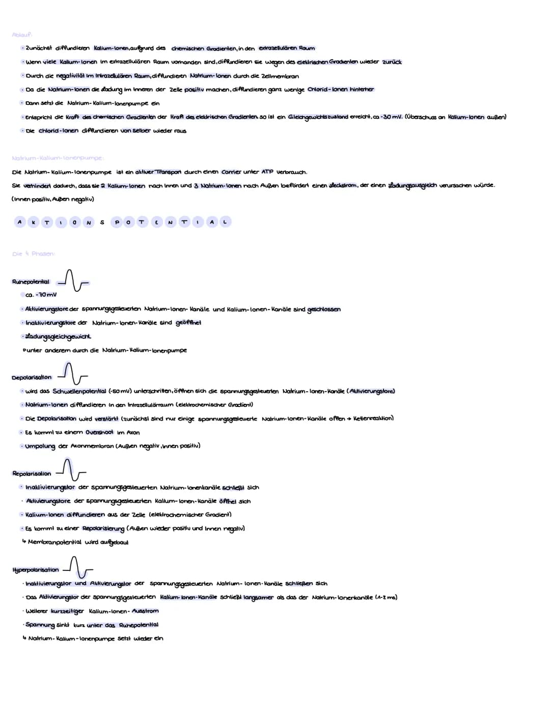 Zellkörper
Nucleolus
Zellkern
Begribbe
N
€ R VE N Sy
Anatomisch (Nach Lage im Körper)
Zentrales Nervensystem
Axonhügel
Axon
Gehirn und Rücke