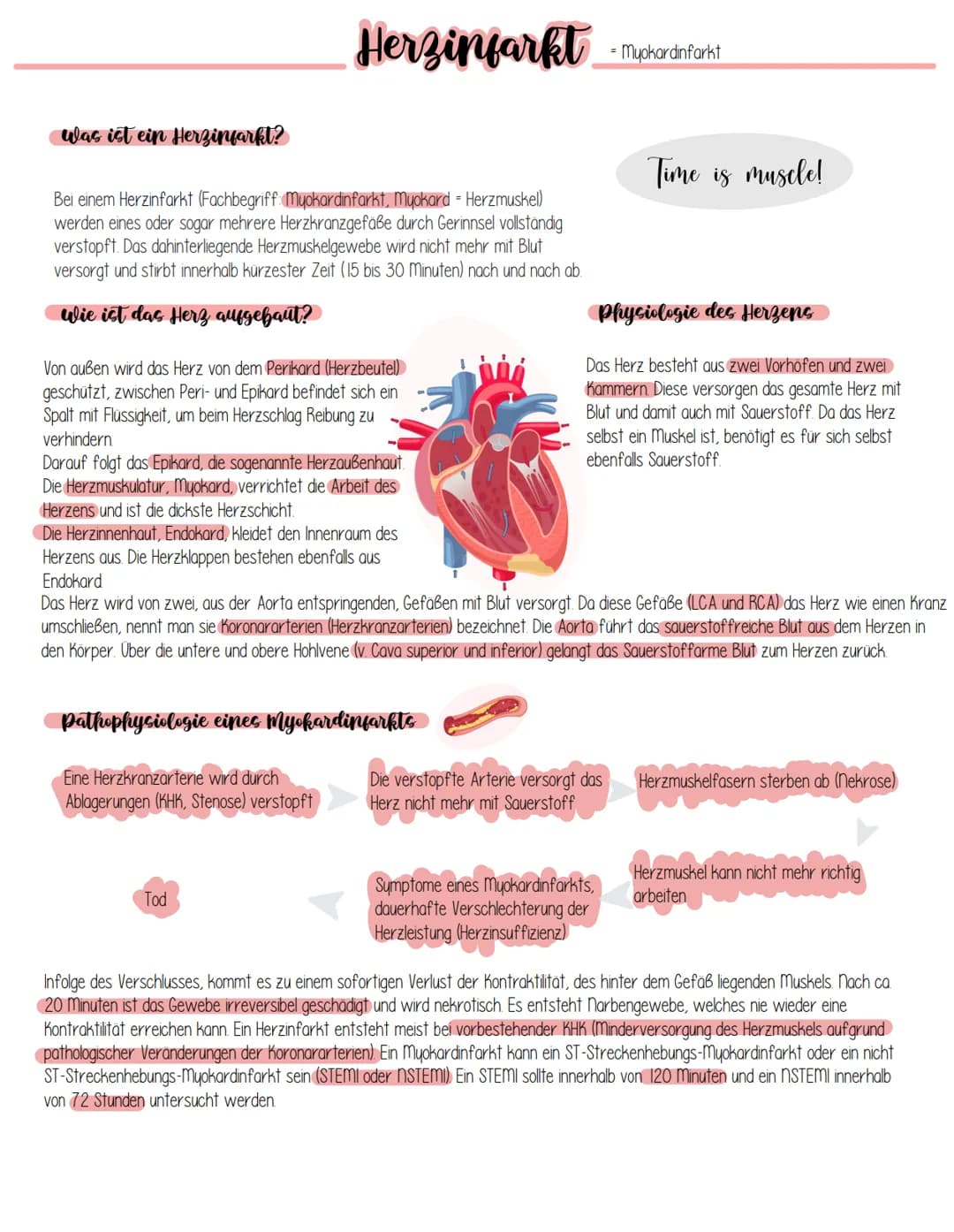 Was ist ein Herzinfarkt?
Herzinfarkt
Bei einem Herzinfarkt (Fachbegriff: Myokardinfarkt, myokard - Herzmuskel)
werden eines oder sogar mehre