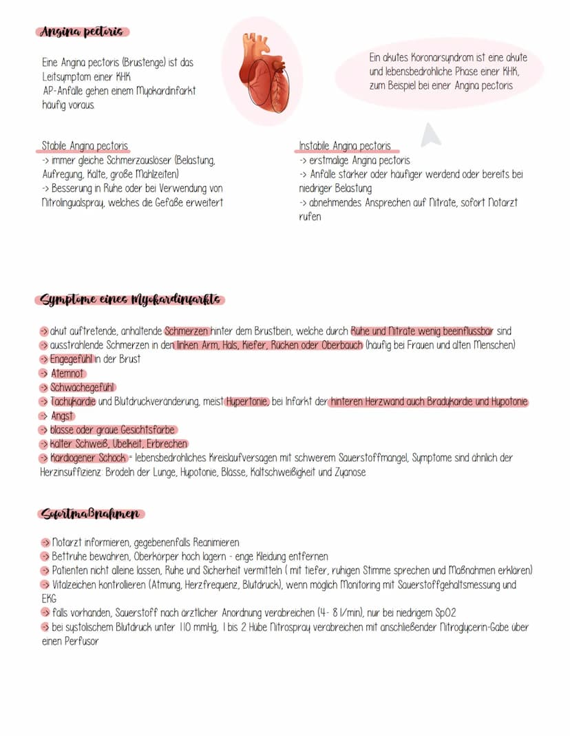 Was ist ein Herzinfarkt?
Herzinfarkt
Bei einem Herzinfarkt (Fachbegriff: Myokardinfarkt, myokard - Herzmuskel)
werden eines oder sogar mehre