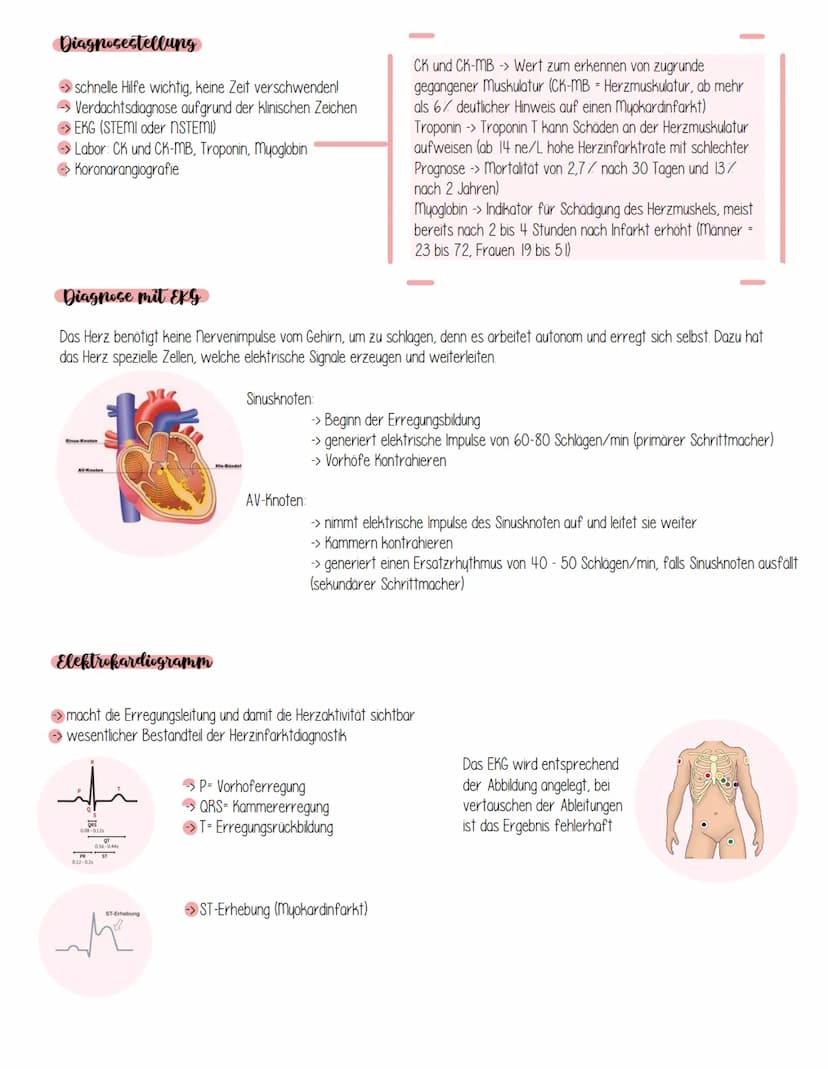 Was ist ein Herzinfarkt?
Herzinfarkt
Bei einem Herzinfarkt (Fachbegriff: Myokardinfarkt, myokard - Herzmuskel)
werden eines oder sogar mehre