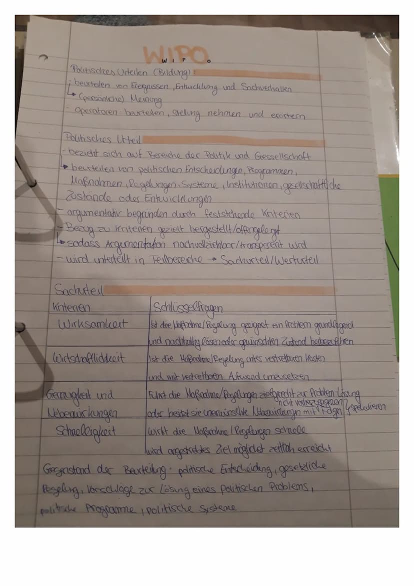 
<p>Die Definition der politischen Entscheidung fällt durch kriterienorientierte und argumentative Argumente, die die Effizienz einer politi