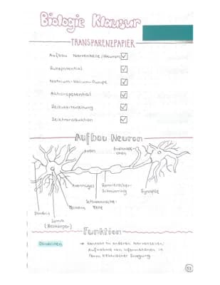 Know Neurobiologie  thumbnail