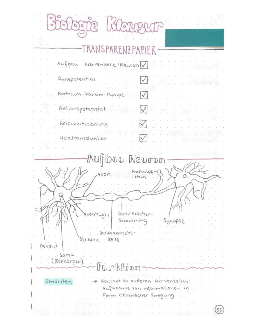 Biologie Klausur
-TRANSPARENZPAPIER-
Aufbau Nervenzelle / Neuron
Ruhepotential
Natrium-kalium- Pumpe
Aktionspotential
Reizweiterleitung
Dend