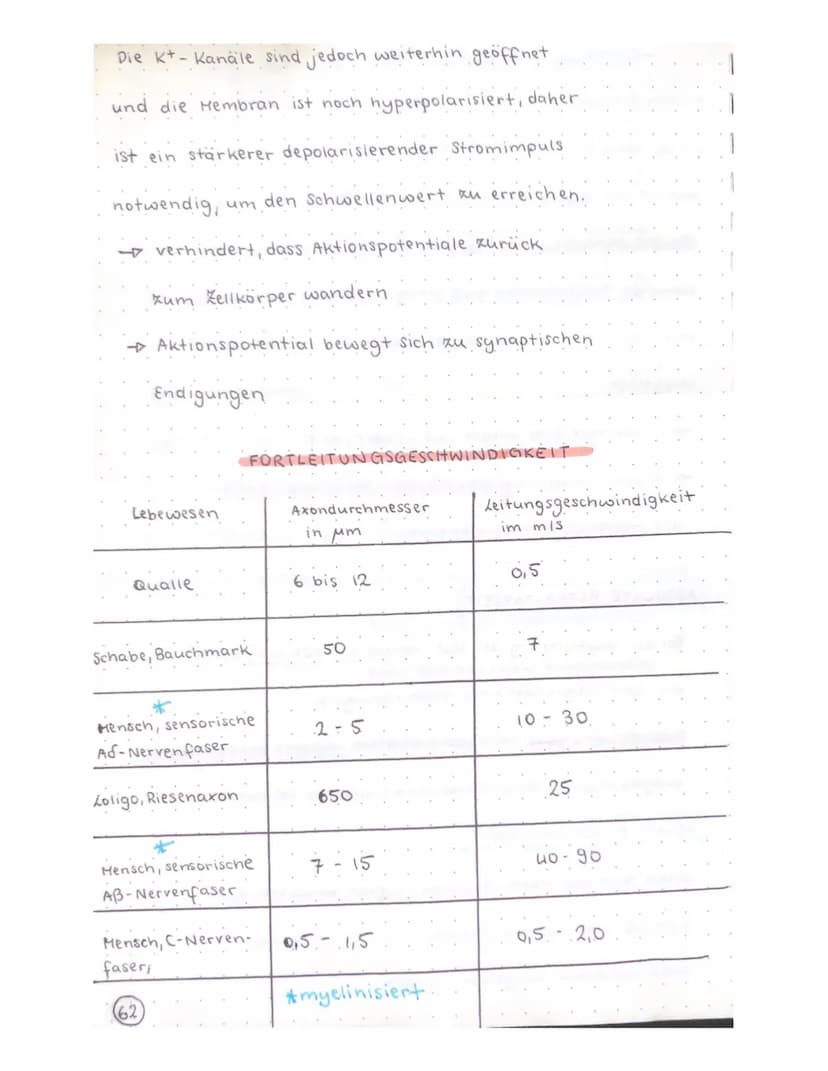 Biologie Klausur
-TRANSPARENZPAPIER-
Aufbau Nervenzelle / Neuron
Ruhepotential
Natrium-kalium- Pumpe
Aktionspotential
Reizweiterleitung
Dend