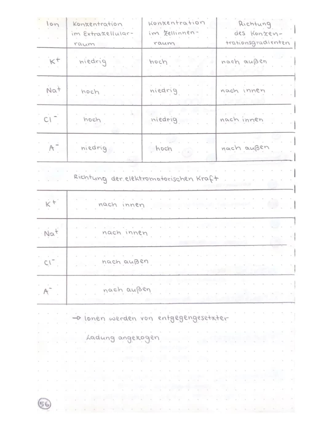 Biologie Klausur
-TRANSPARENZPAPIER-
Aufbau Nervenzelle / Neuron
Ruhepotential
Natrium-kalium- Pumpe
Aktionspotential
Reizweiterleitung
Dend
