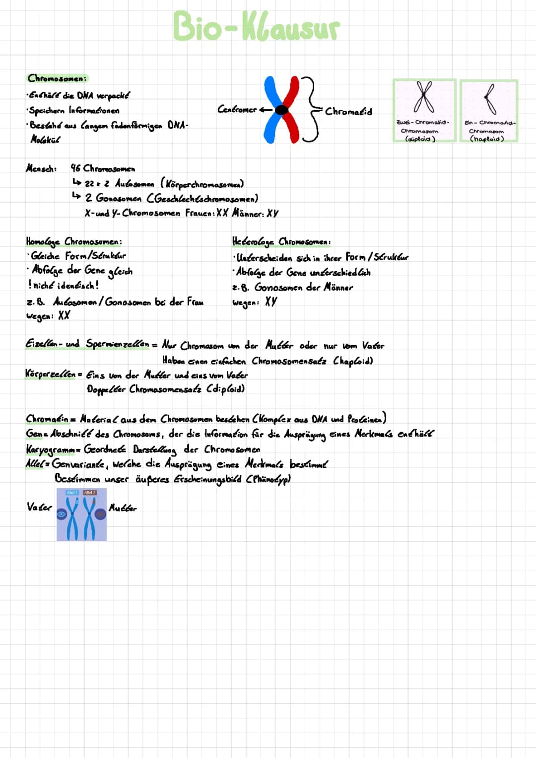 Chromosomen, Meiose, Mitose und Stammbaumanalyse -Bio Lernzettel