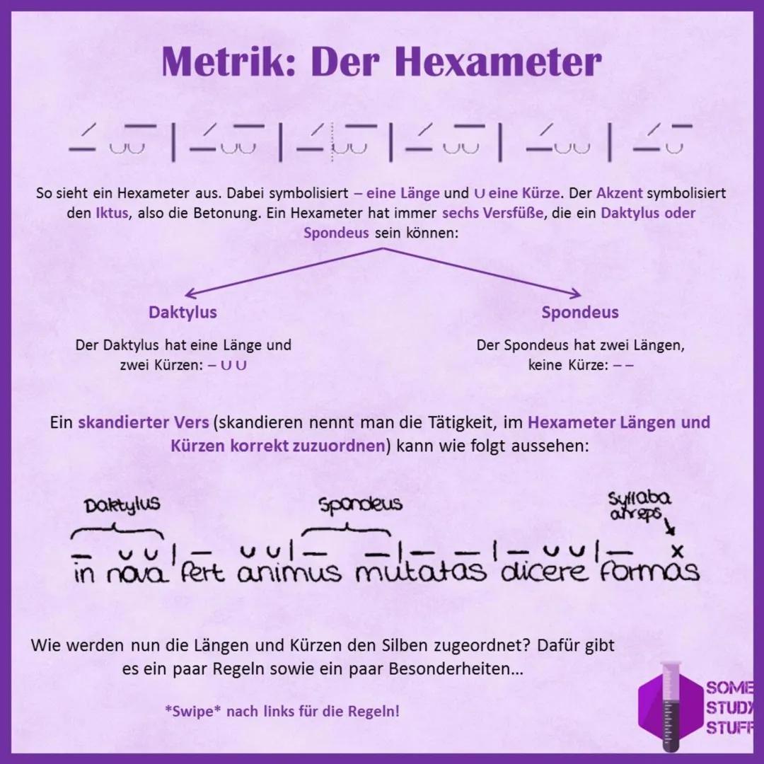 Coole Latein Metrik Übungen: Skandieren Hexameter, Regeln & Beispiele