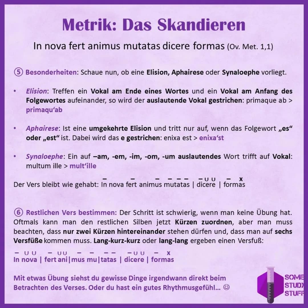 Metrik: Der Hexameter
1|25|-|-|-|25
So sieht ein Hexameter aus. Dabei symbolisiert - eine Länge und U eine Kürze. Der Akzent symbolisiert
de