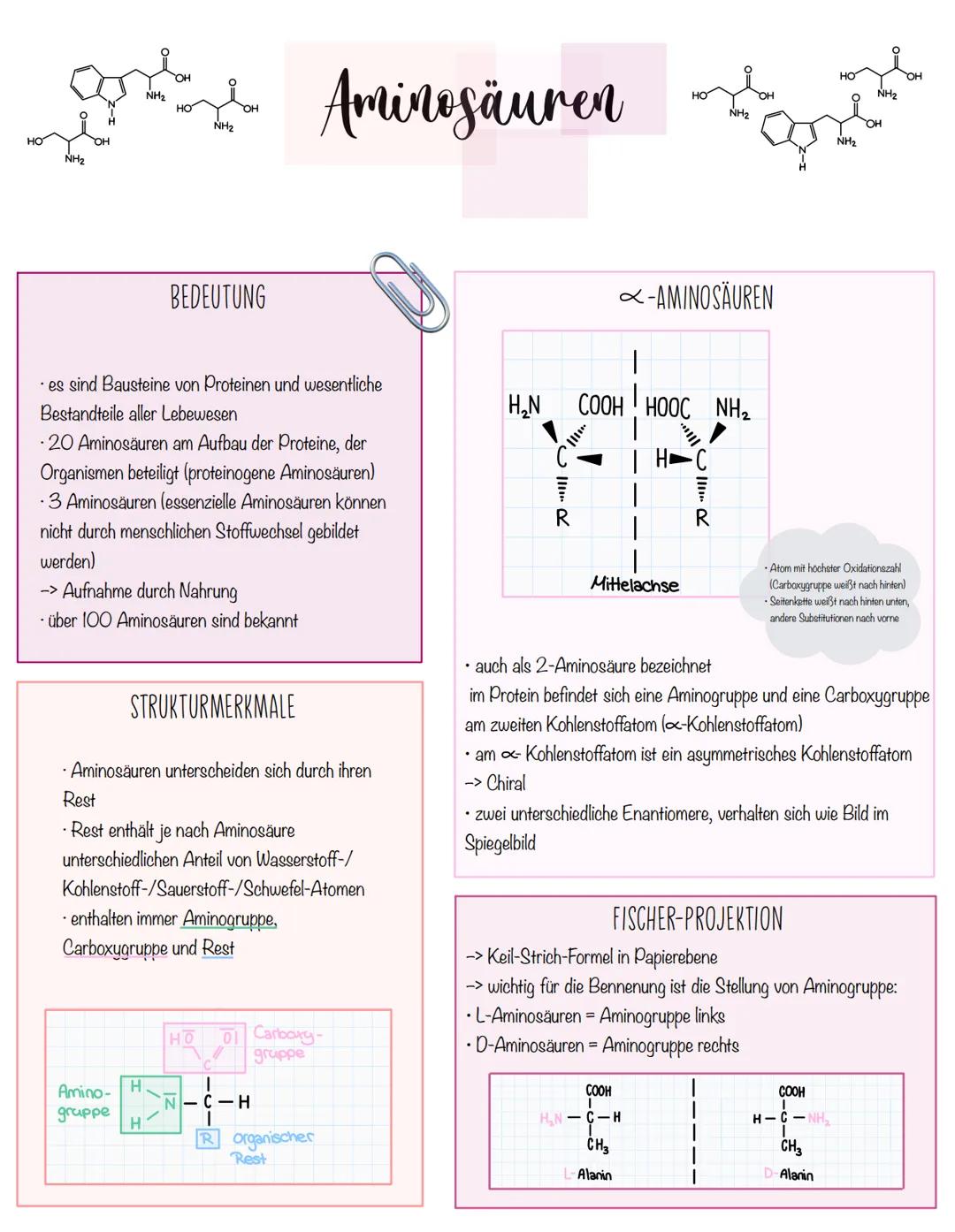 NH2
NH2
NH2
# Aminosäuren
NH2
NH2
NH2

# BEDEUTUNG

• es sind Bausteine von Proteinen und wesentliche
Bestandteile aller Lebewesen
-20 Amino