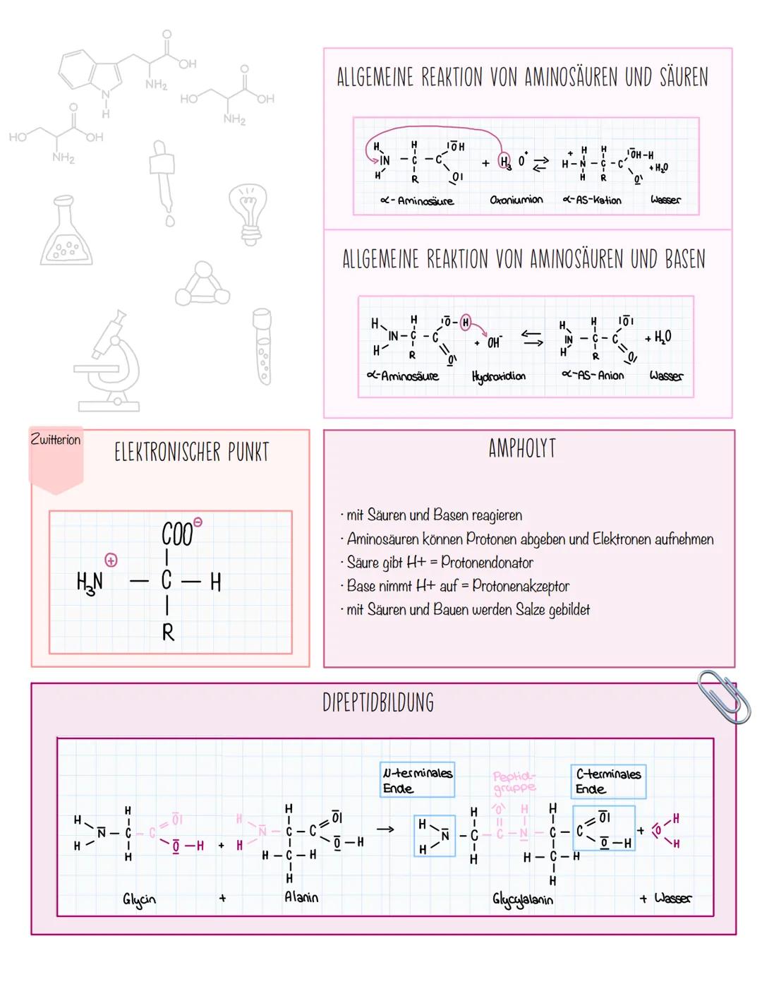 NH2
NH2
NH2
# Aminosäuren
NH2
NH2
NH2

# BEDEUTUNG

• es sind Bausteine von Proteinen und wesentliche
Bestandteile aller Lebewesen
-20 Amino