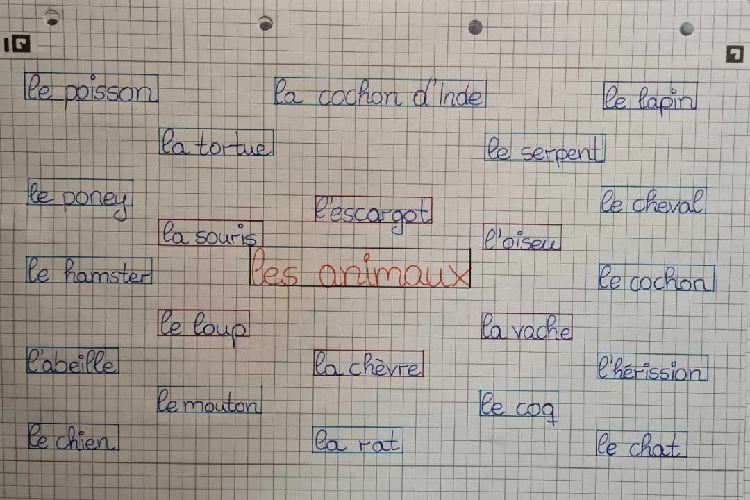 Mindmap -> Tiere