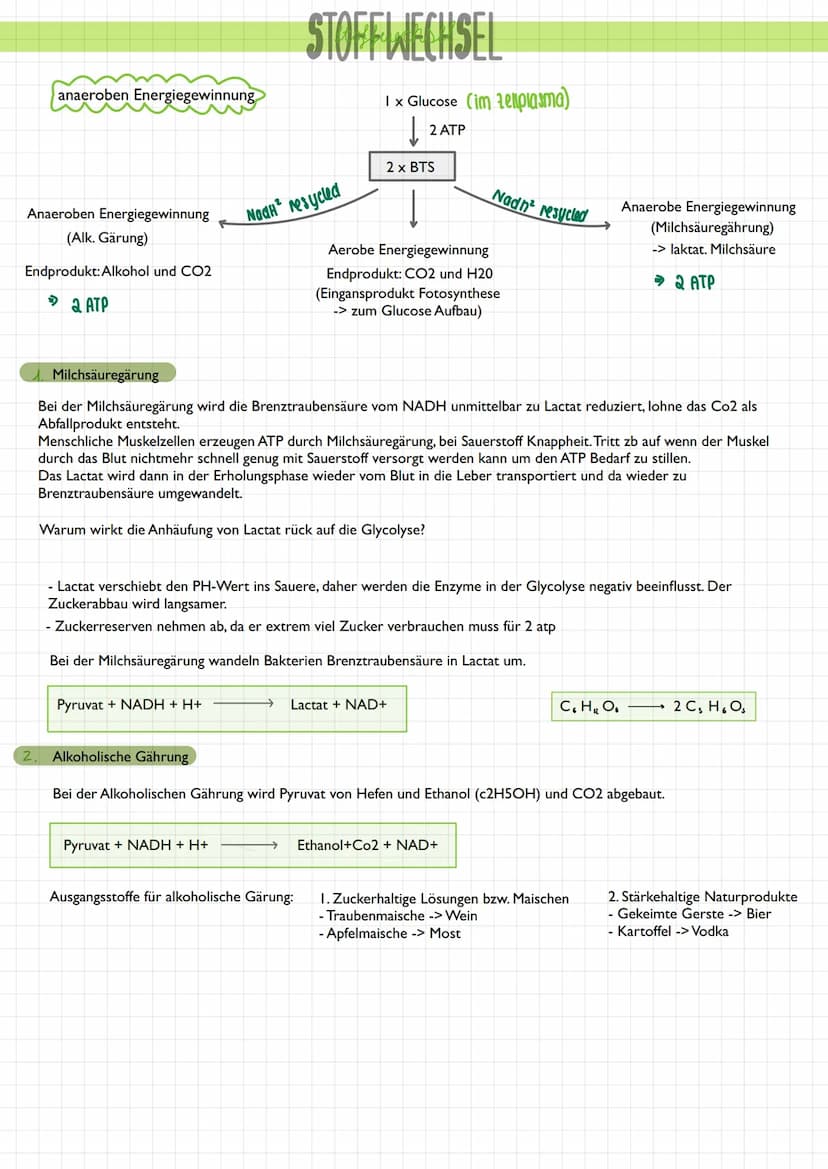  3.2 Stoffabbau - Zellatmung
Überblick
STOFFWECHSEL
Die Umwandlung energiereicher körpereigener Stoffe in energieärmere Stoffe bezeichnet ma