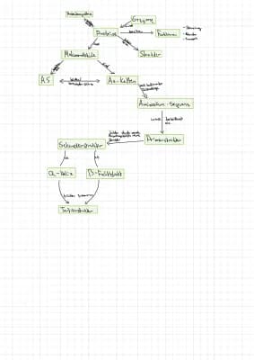 Know Proteine concept Map thumbnail