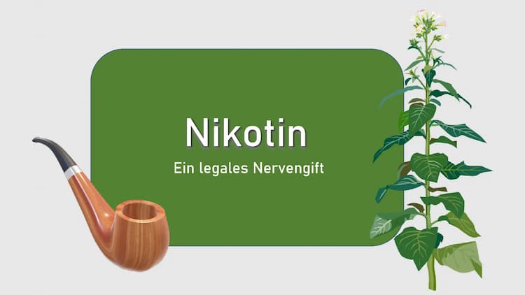 Know Nikotin Präsentation  thumbnail