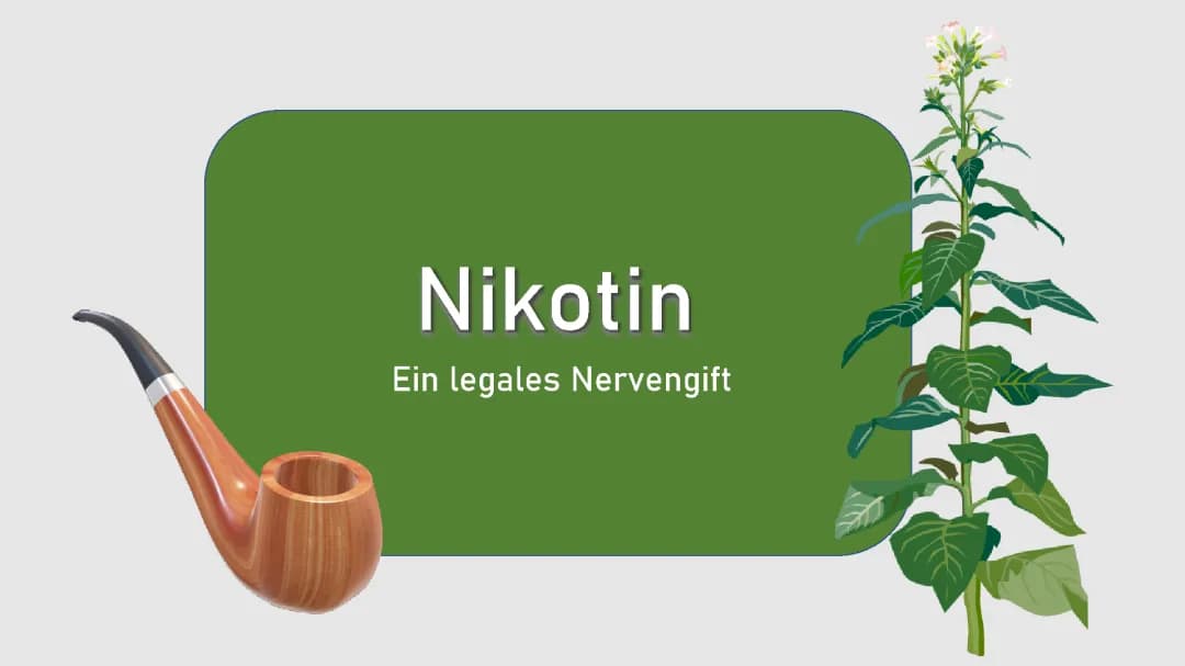 Nikotin Präsentation 