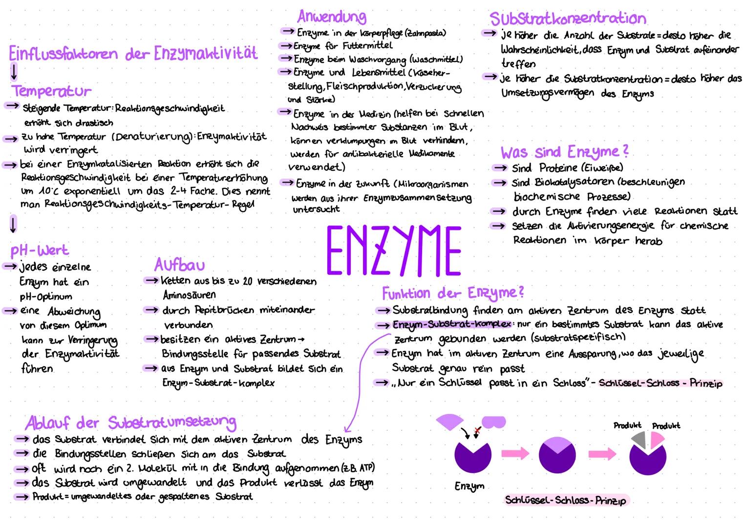 # Einflussfaktoren der Enzymaktivität
↓
Temperatur
→Steigende Temperatur: Reaktionsgeschwindigkeit.
erhöht sich drastisch
→ zu hohe Temperat