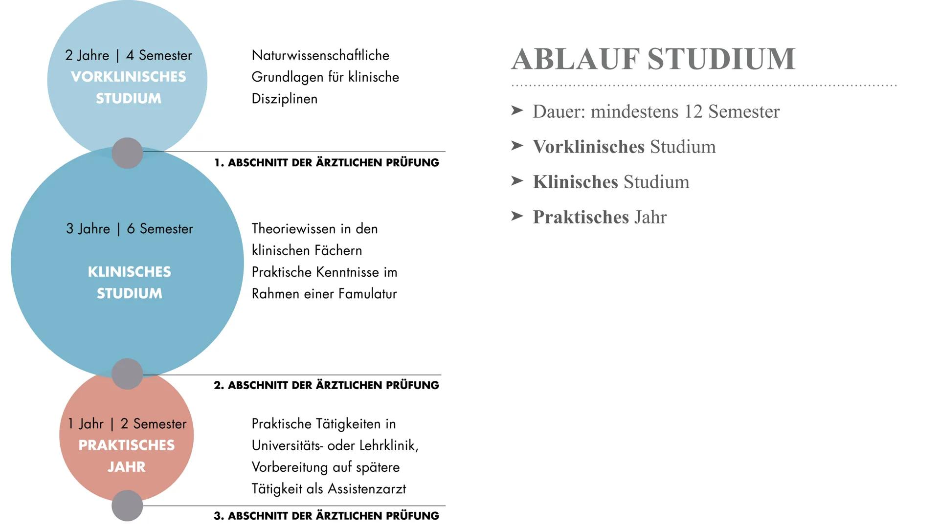 # HUMANMEDIZIN

...und was alles danach möglich ist! ge Tools Scroll Evaluation System Options Help

R/MPlbpc
Prisma_fit
MRE11
HFS
+LPH
→
vo