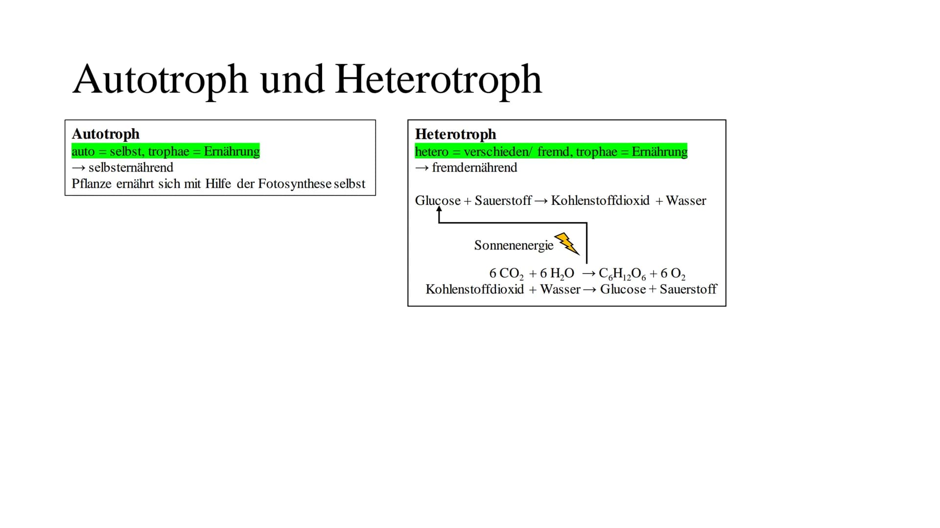 Cytologie
lat.: cellua die kleine Kammer Zellbiologie
alle Lebewesen, so verschieden sie auch sind, sind aus Zellen und ihren Produkten aufg
