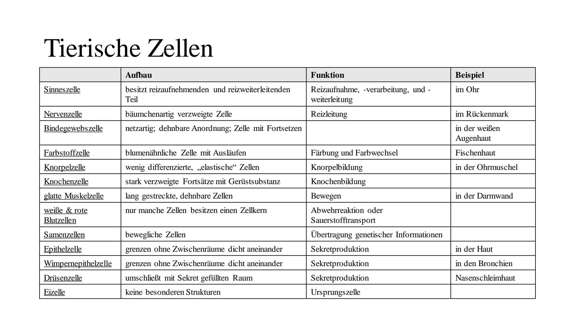 Cytologie
lat.: cellua die kleine Kammer Zellbiologie
alle Lebewesen, so verschieden sie auch sind, sind aus Zellen und ihren Produkten aufg