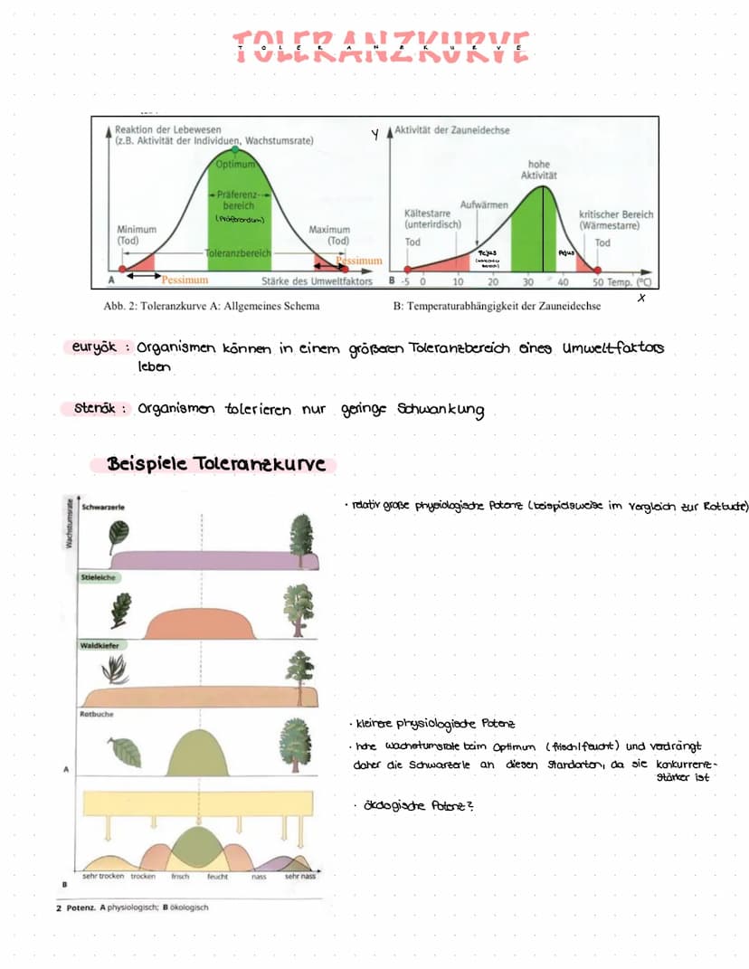 GLOSSAR
physiologische Potenz:
Werteberaich, den ein bestimmter Umweltfaktor annehmen muss, damit an Individium überleben kann.
Einfluss von