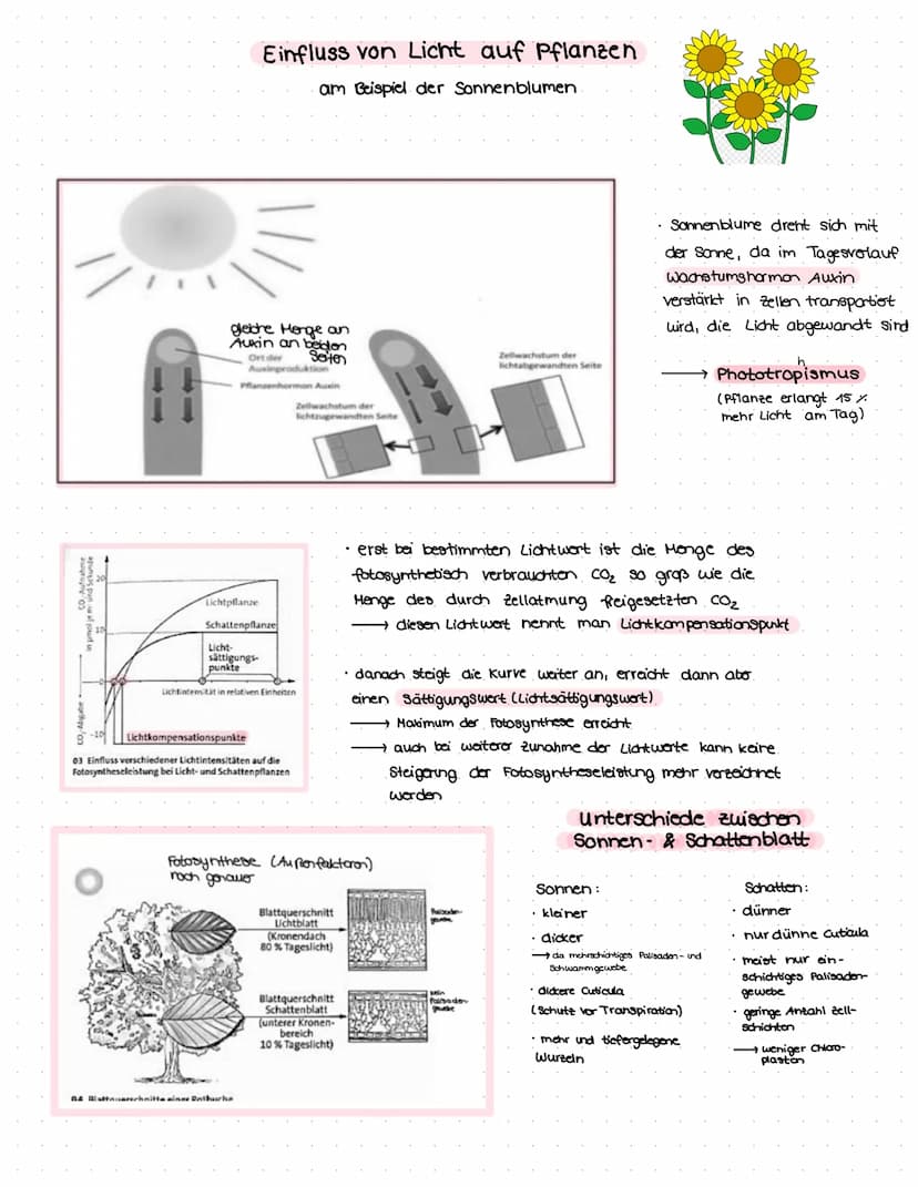GLOSSAR
physiologische Potenz:
Werteberaich, den ein bestimmter Umweltfaktor annehmen muss, damit an Individium überleben kann.
Einfluss von