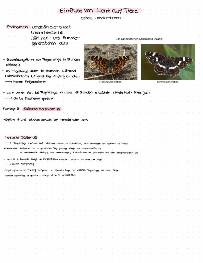 GLOSSAR
physiologische Potenz:
Werteberaich, den ein bestimmter Umweltfaktor annehmen muss, damit an Individium überleben kann.
Einfluss von