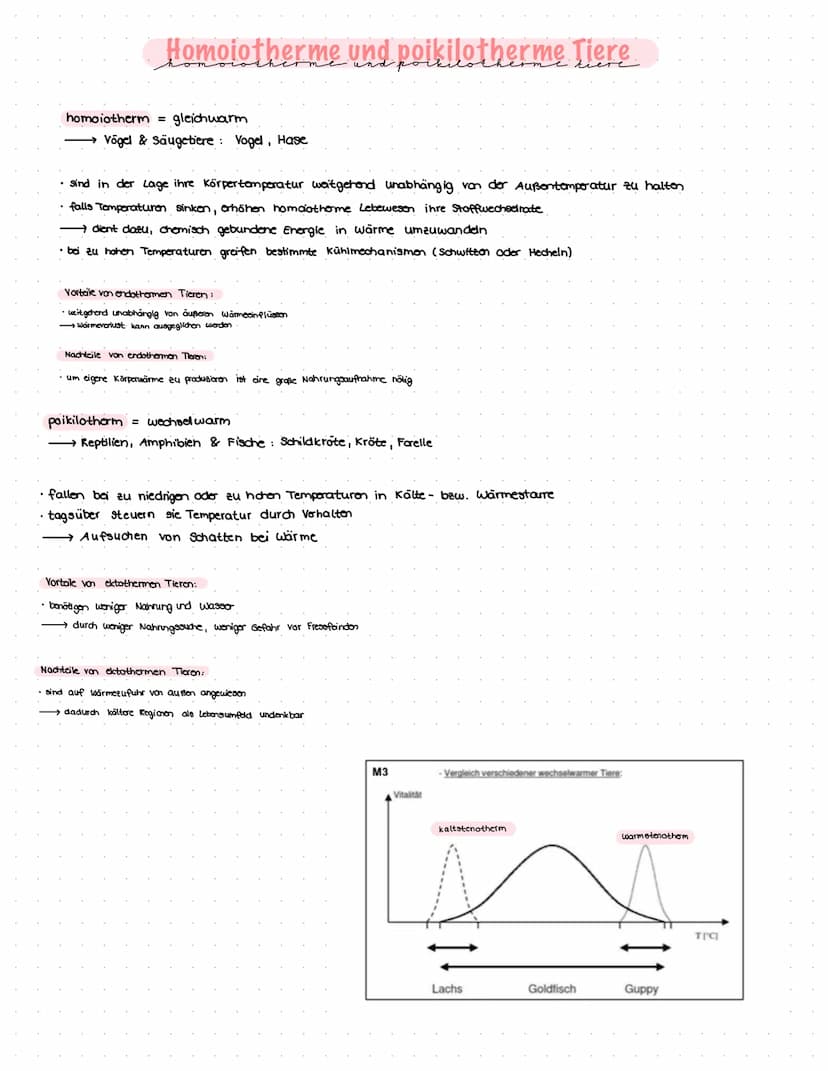 GLOSSAR
physiologische Potenz:
Werteberaich, den ein bestimmter Umweltfaktor annehmen muss, damit an Individium überleben kann.
Einfluss von