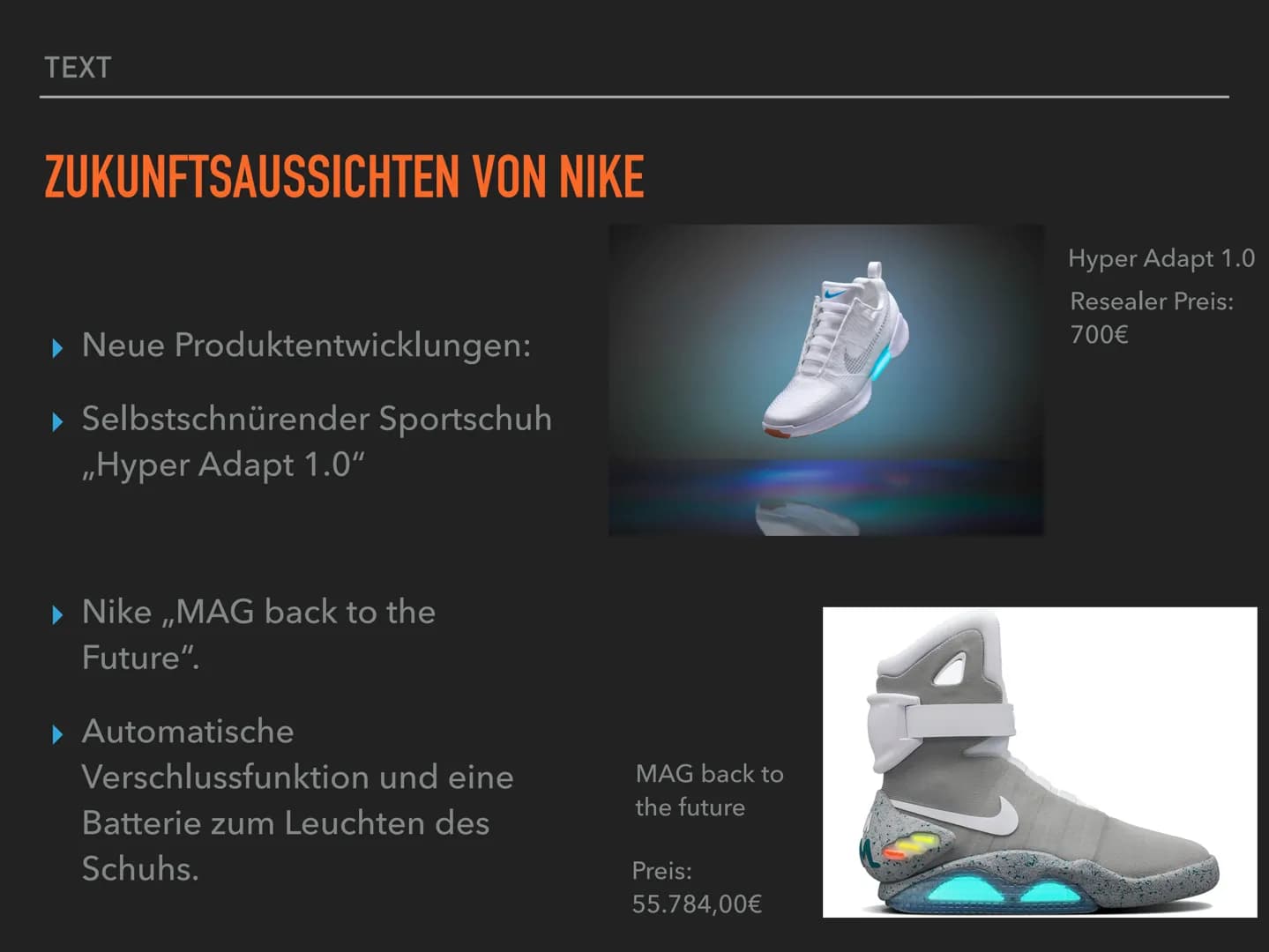 GLOBAL PLAYER
NIKE TEXT
GLIEDERUNG
▸ Information (Konzern und Produkte).
▸ Hauptsitz und Produktionsstandorte.
▸ Globale Warenströmung.
▸ En