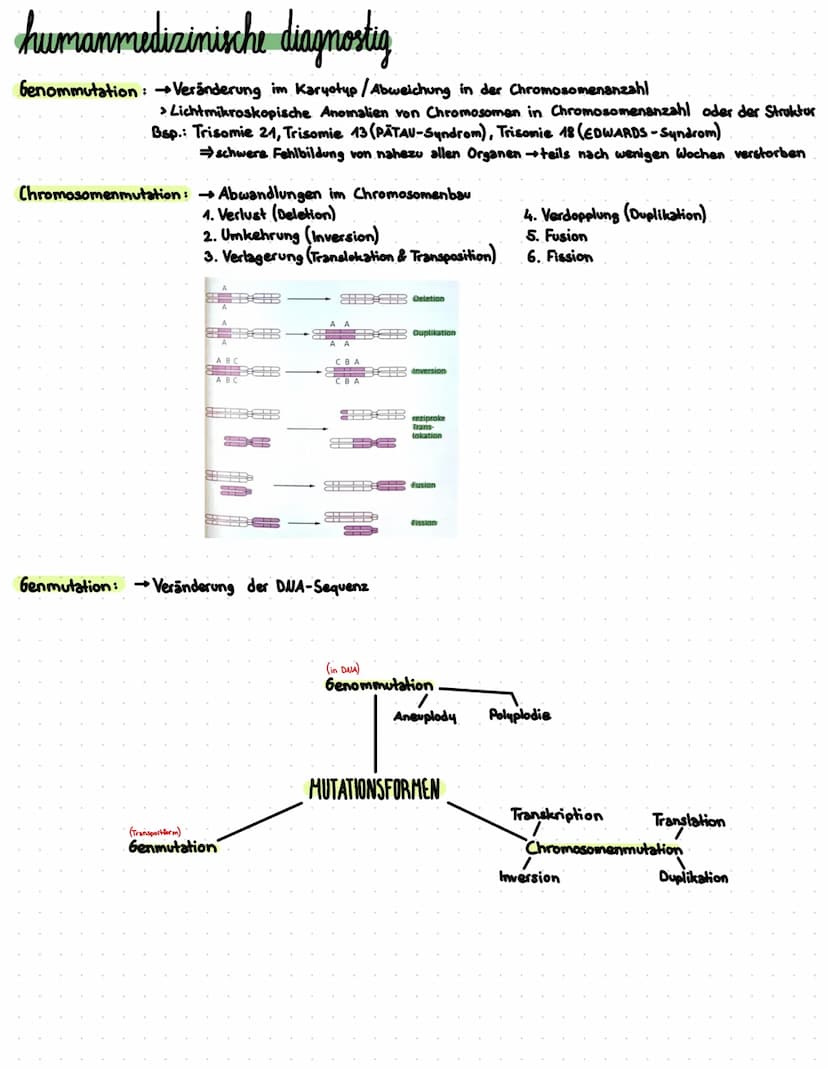DIOLOGIE
DIOLACIC 7115 AMMENEACCUINIC
DIVLVVIL LUJA ILMIAJJÜNÜ
karyogramm
Definition. Die geordnete Darstellung aller sich im Zellkern, eine