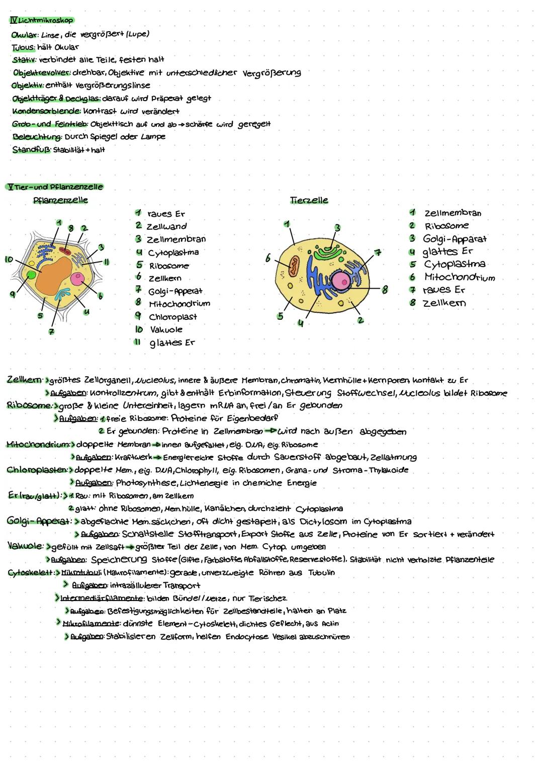 # Biologie

1. Klassenarbeit

ठ

26.11.2020

IDefinition Biologie

> Lehre vom Leben/Lebendigen

> Lebensvorgänge Organismen + Wechselbezieh
