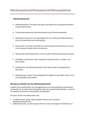Know  Membranpotenzial, Ruhe Potenzial, Aktionspotenzial Erregungsleitung  thumbnail