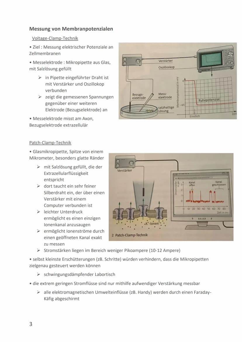 Membranpotenzial/Ruhepotenzial/Aktionspotenzial
●
Membranpotenzial
●
●
●
Membranpotential: Eine elektrische Spannung aufgrund von Ladungsunt