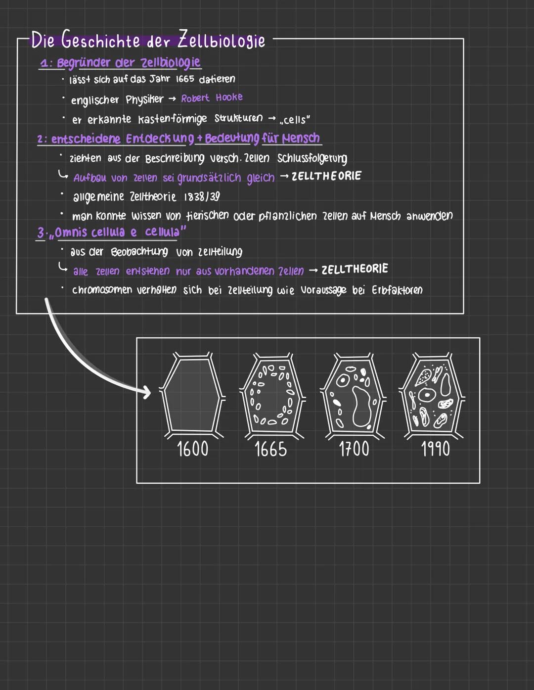 Biologictest - Zellorganellan
Themenübersicht
zellulärer Bau von Lebewesen
Geschichte der Zellbiologie
Zellorganellen
Beispiel:
-Organisatio