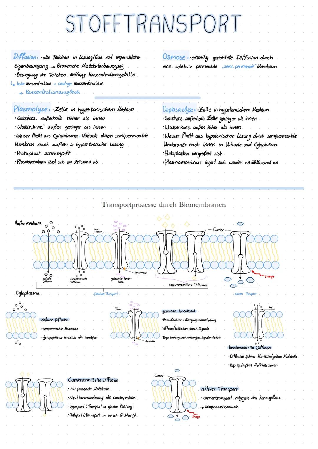# BIOMEMBRAN

*   Abgrenzung von Reaktionsräumen Kompartimente
*   Oberfläche für Stoffwechselprozesse
*   1. Prinzip der Oberflächen vergrö