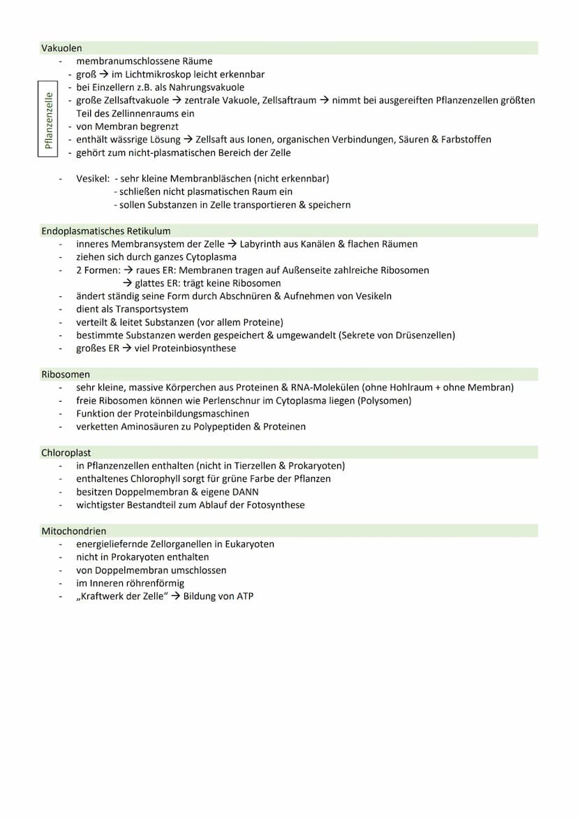 STOFFWECHSEL / ZYTOLOGIE
PROKARYOTEN / EUKARYOTEN
Eucyte/ Eukaryoten
haben einen Zellkern
sind Einzeller, Pilze, Pflanzen, Tiere
DNA im Zell