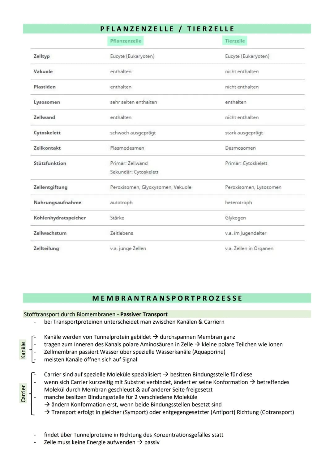 STOFFWECHSEL / ZYTOLOGIE
PROKARYOTEN / EUKARYOTEN
Eucyte/ Eukaryoten
haben einen Zellkern
sind Einzeller, Pilze, Pflanzen, Tiere
DNA im Zell