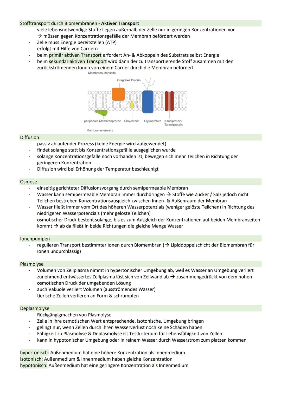 STOFFWECHSEL / ZYTOLOGIE
PROKARYOTEN / EUKARYOTEN
Eucyte/ Eukaryoten
haben einen Zellkern
sind Einzeller, Pilze, Pflanzen, Tiere
DNA im Zell
