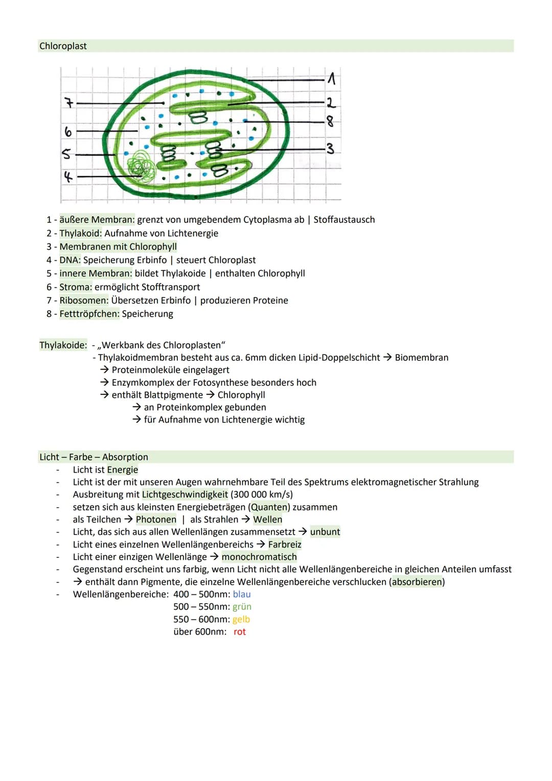 STOFFWECHSEL / ZYTOLOGIE
PROKARYOTEN / EUKARYOTEN
Eucyte/ Eukaryoten
haben einen Zellkern
sind Einzeller, Pilze, Pflanzen, Tiere
DNA im Zell
