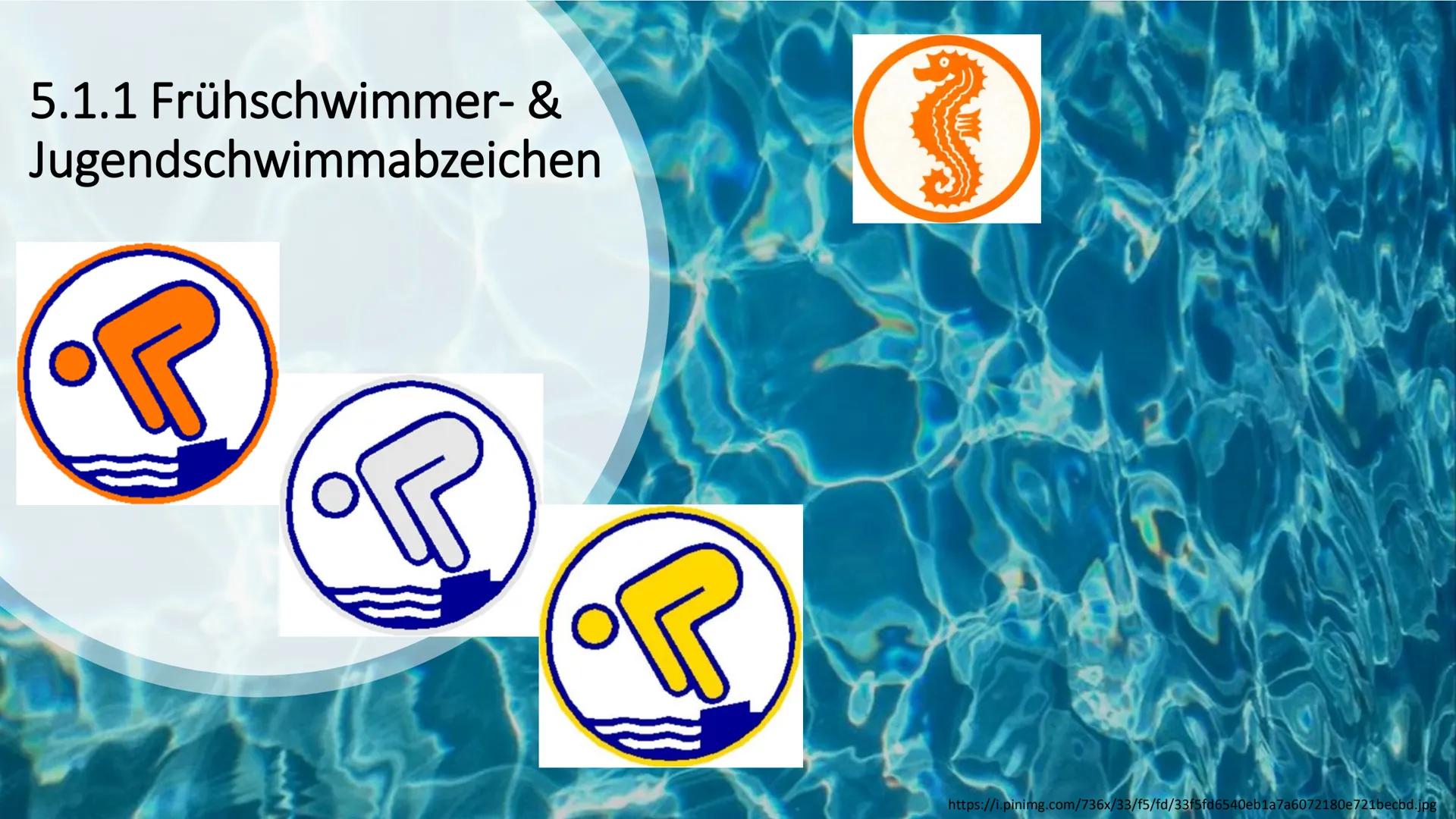 -Gymnasium
Leistungskurs Sport
Fachlehrer: Herr
Handout GFS: Rettungsschwimmen
1. Leitfrage: Sollte Rettungsschwimmen im
Schwimmunterricht g