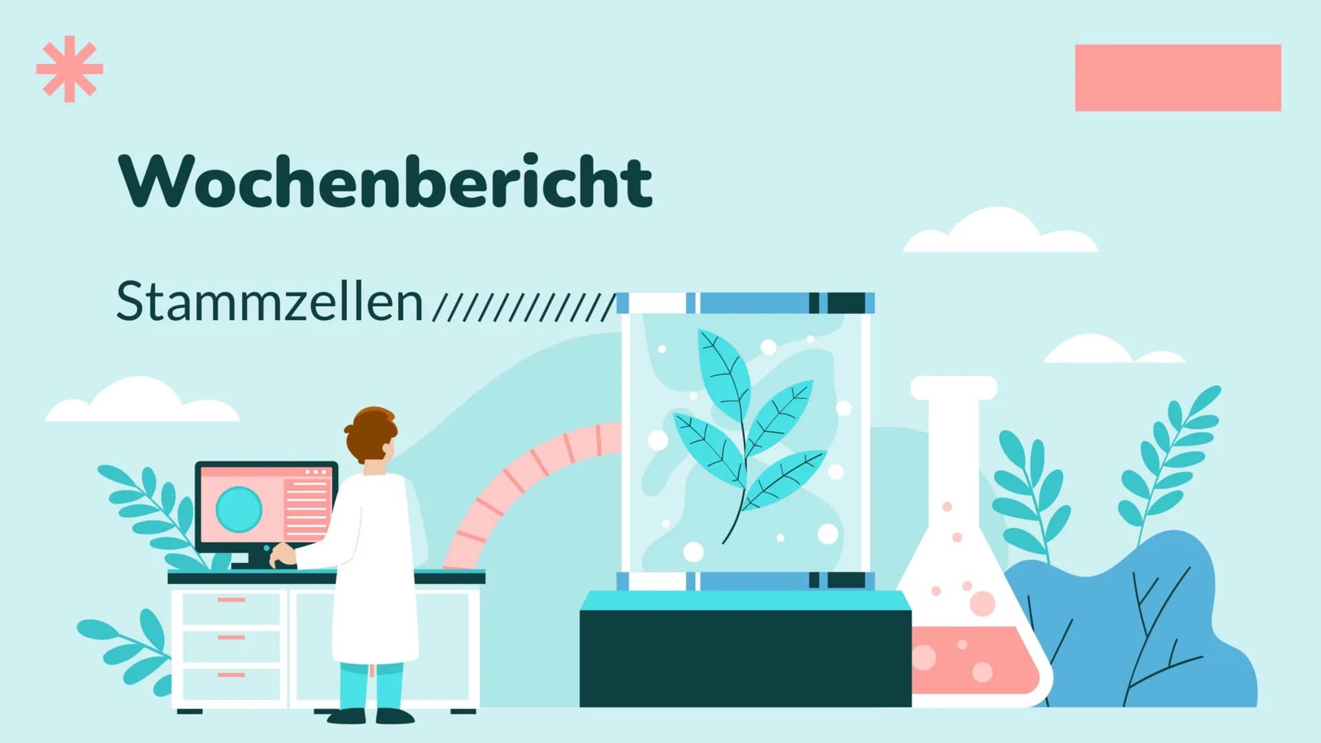 Wochenbericht
Stammzellen //// Inhalt
01
Stammzelle
Was sind Stammzellen
überhaupt?
04
Anwendung
Wo werden Stammzellen
angewendet
02
Arten
W