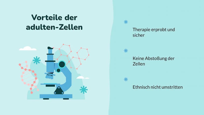 Wochenbericht
Stammzellen //// Inhalt
01
Stammzelle
Was sind Stammzellen
überhaupt?
04
Anwendung
Wo werden Stammzellen
angewendet
02
Arten
W